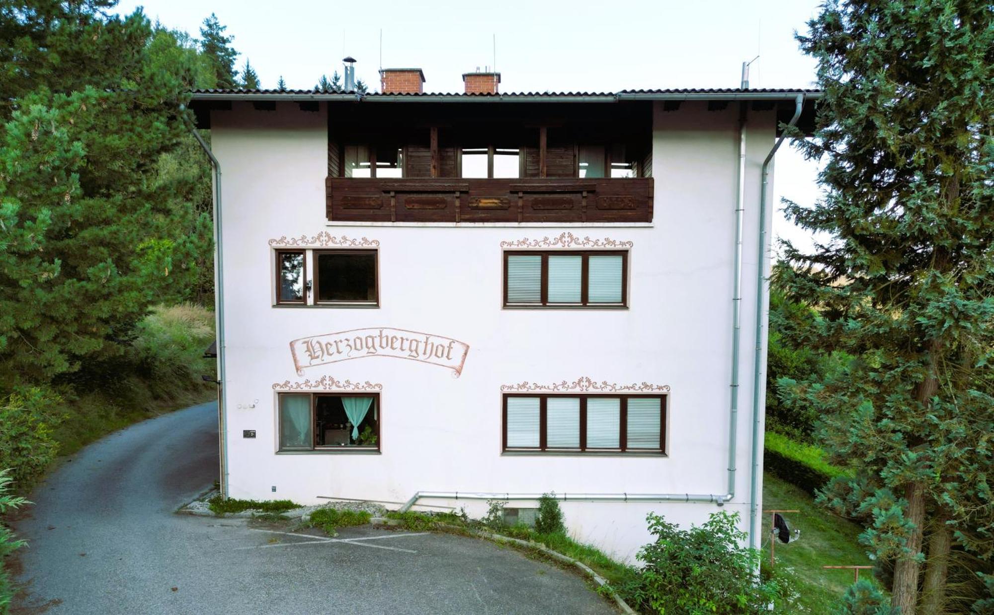 Herzogberghof Kindberg Bagian luar foto